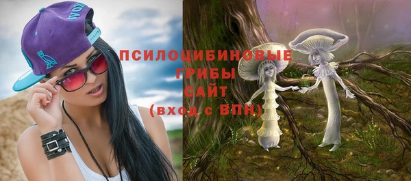 соль ск Арсеньев
