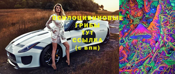 соль ск Арсеньев